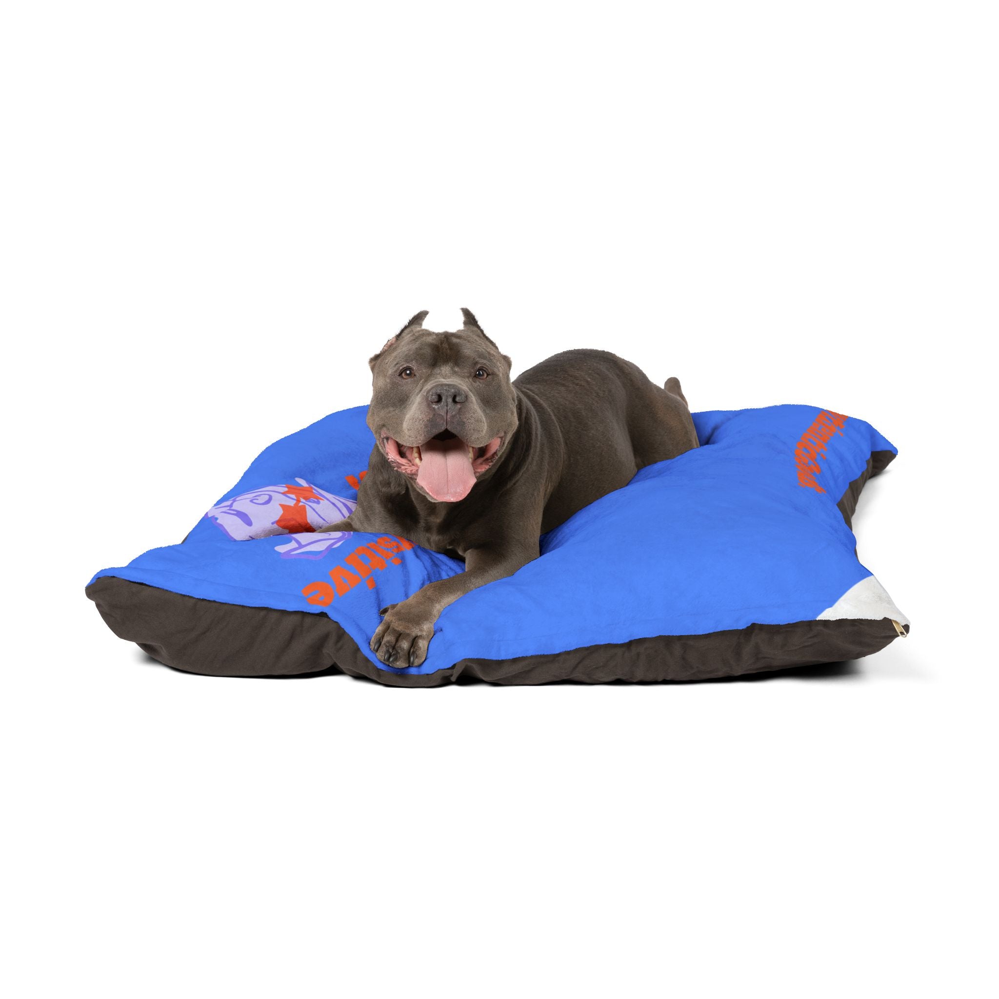 Cool Stars Pet Bed, Cozy Dog Bed, Puppy Cushion, Stay Pawsitive Pet Comfort, Cute Animal Bed, Pet Lover Gift