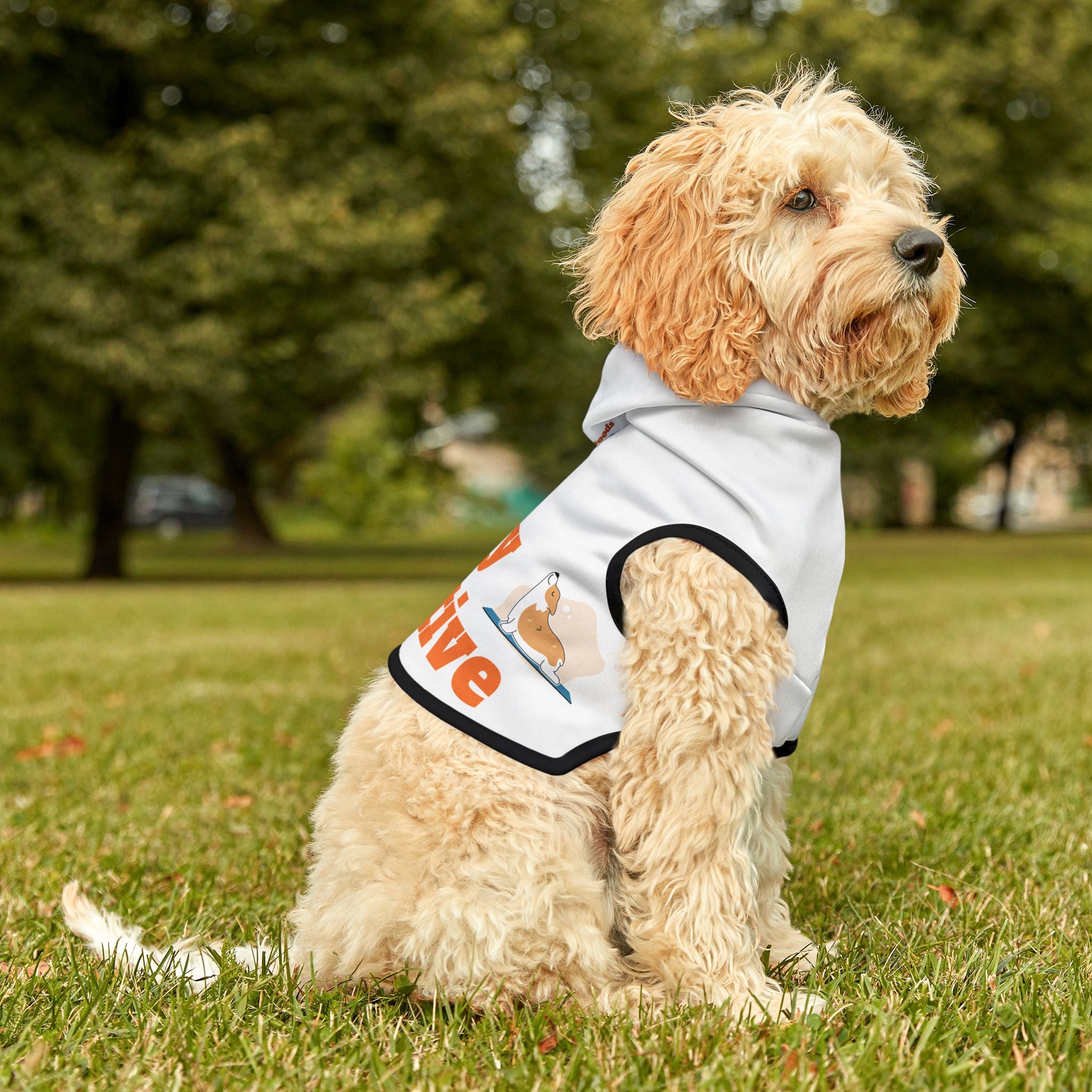 "Stay Pawsitive" Pawthentic Goods Dog Sweater