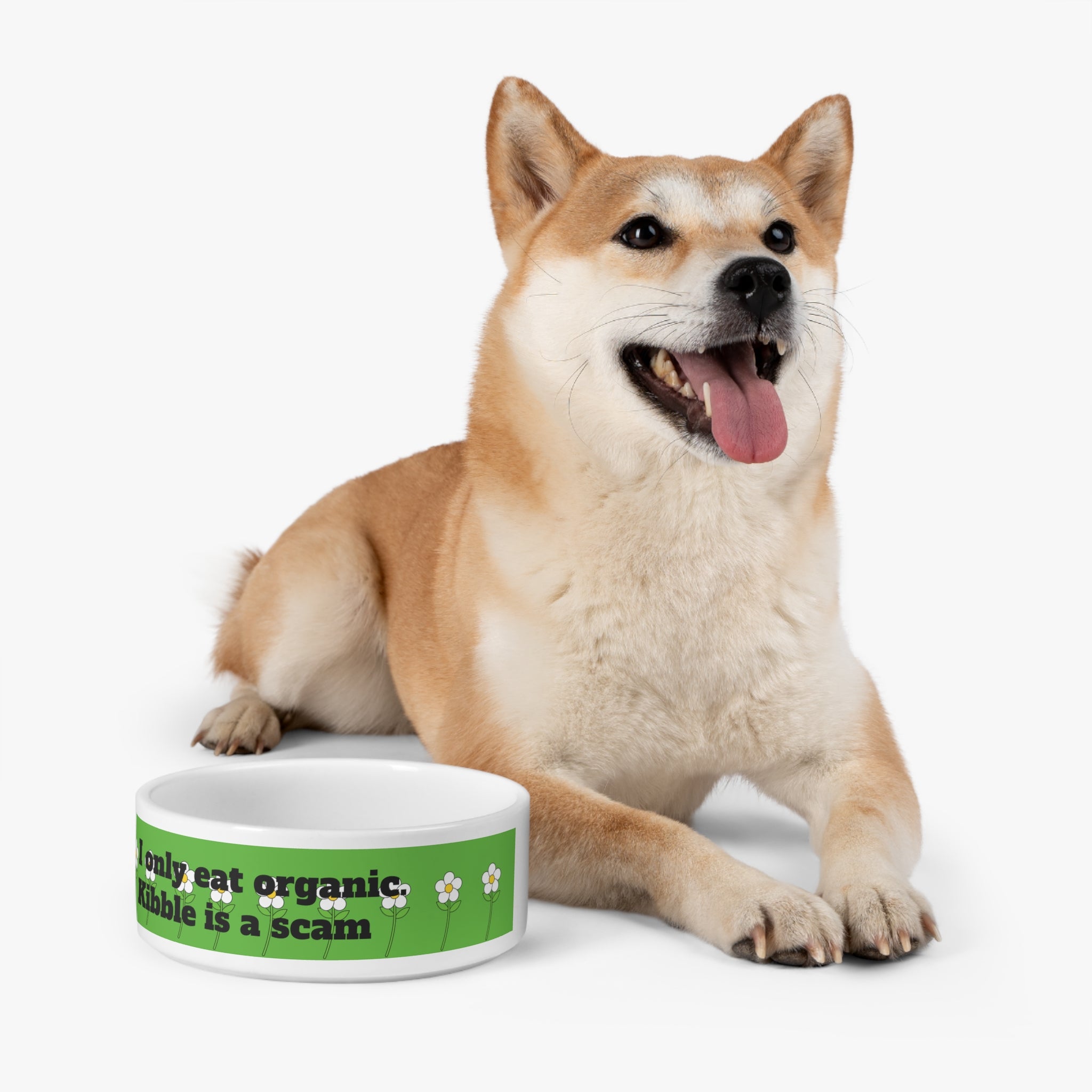 "I only eat organic. kibble is a scam" pet bowl