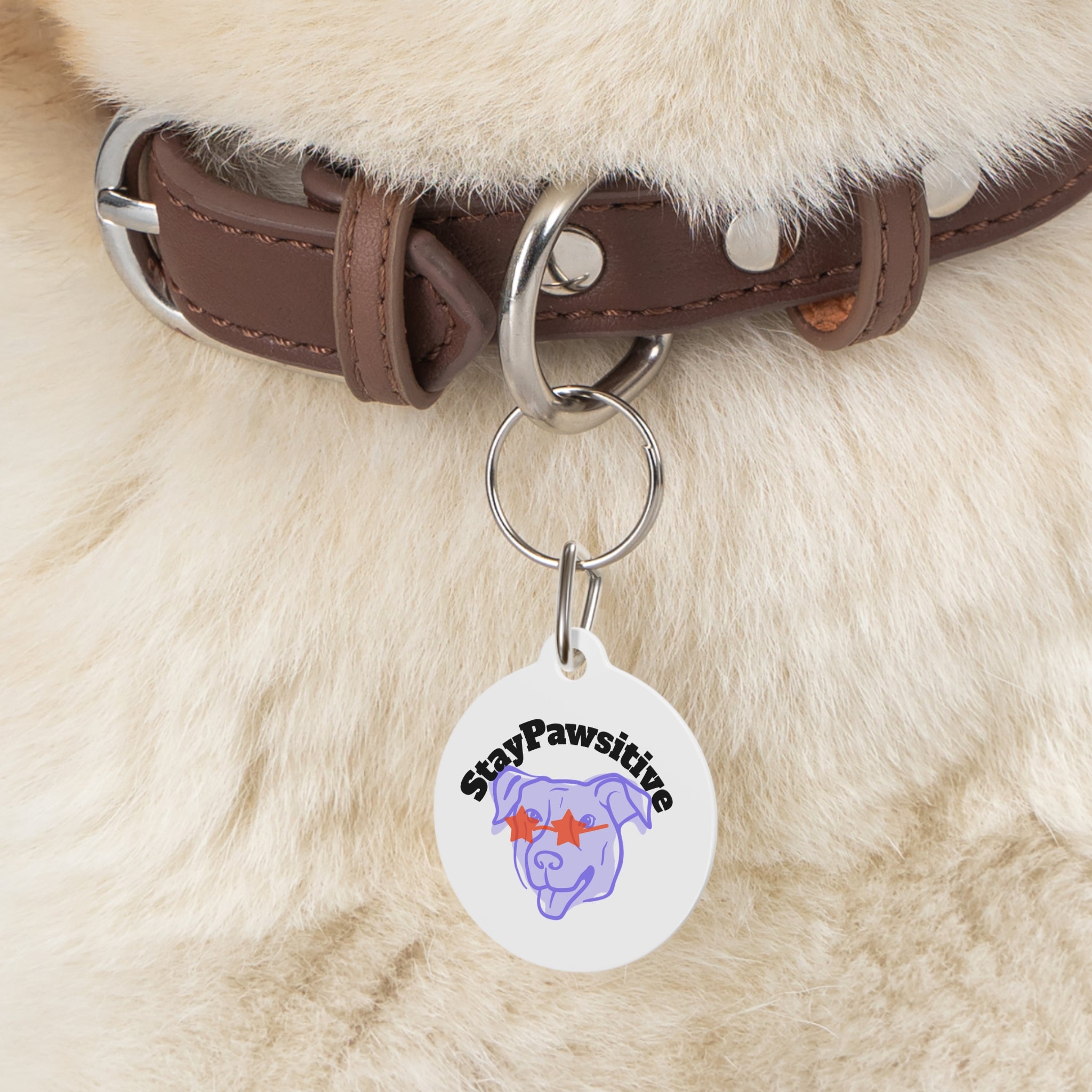 Customizable Pet Tag