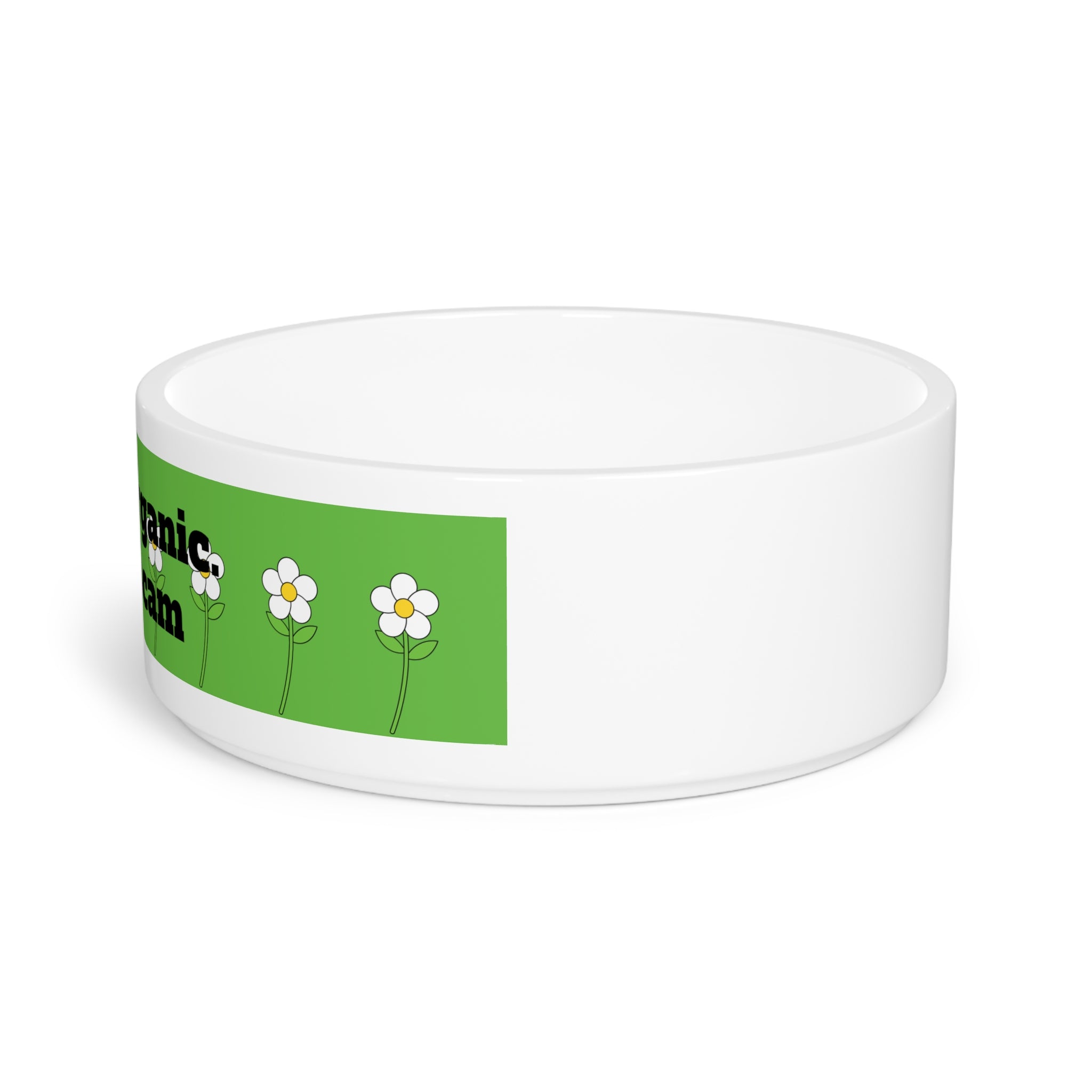"I only eat organic. kibble is a scam" pet bowl