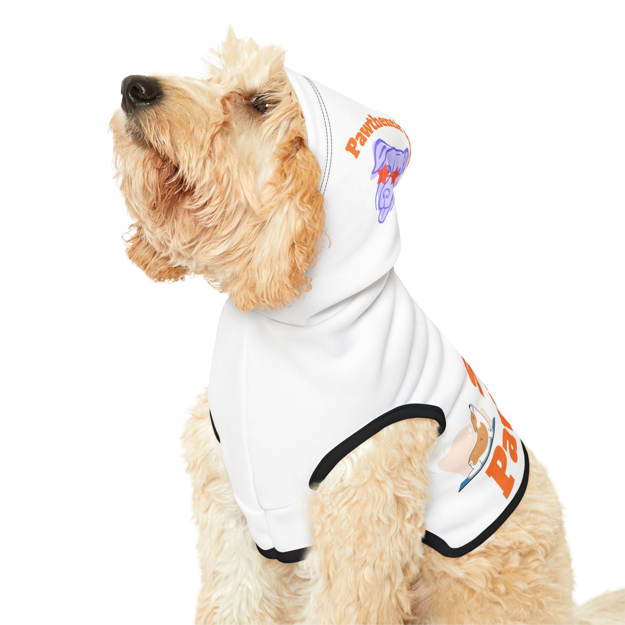 "Stay Pawsitive" Pawthentic Goods Dog Sweater