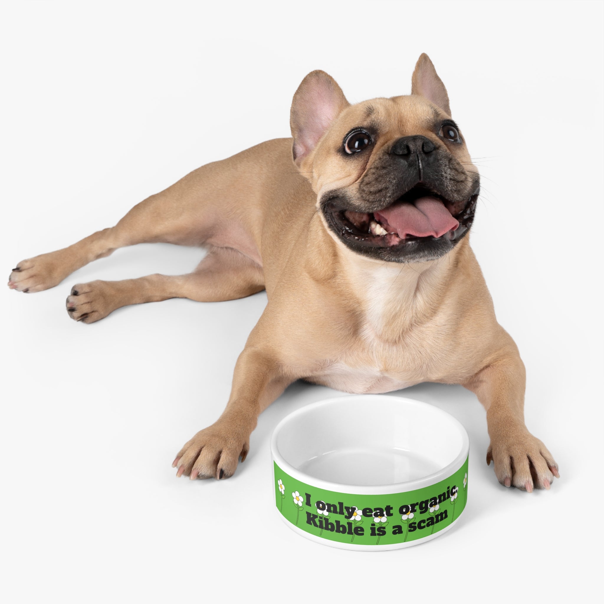 "I only eat organic. kibble is a scam" pet bowl